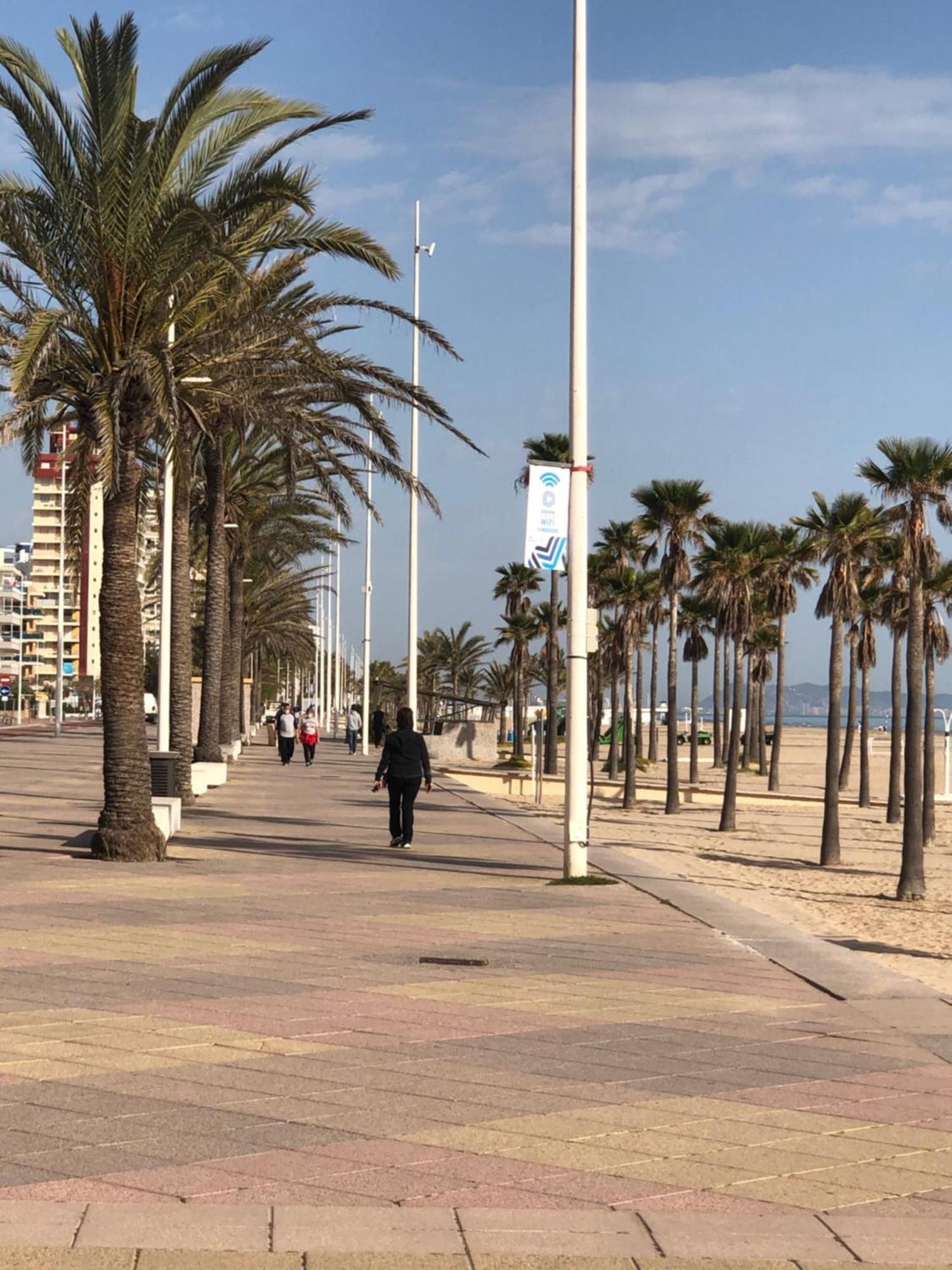 Apartament Playa De Gandia 1Ere Ligne El Galeon Zewnętrze zdjęcie