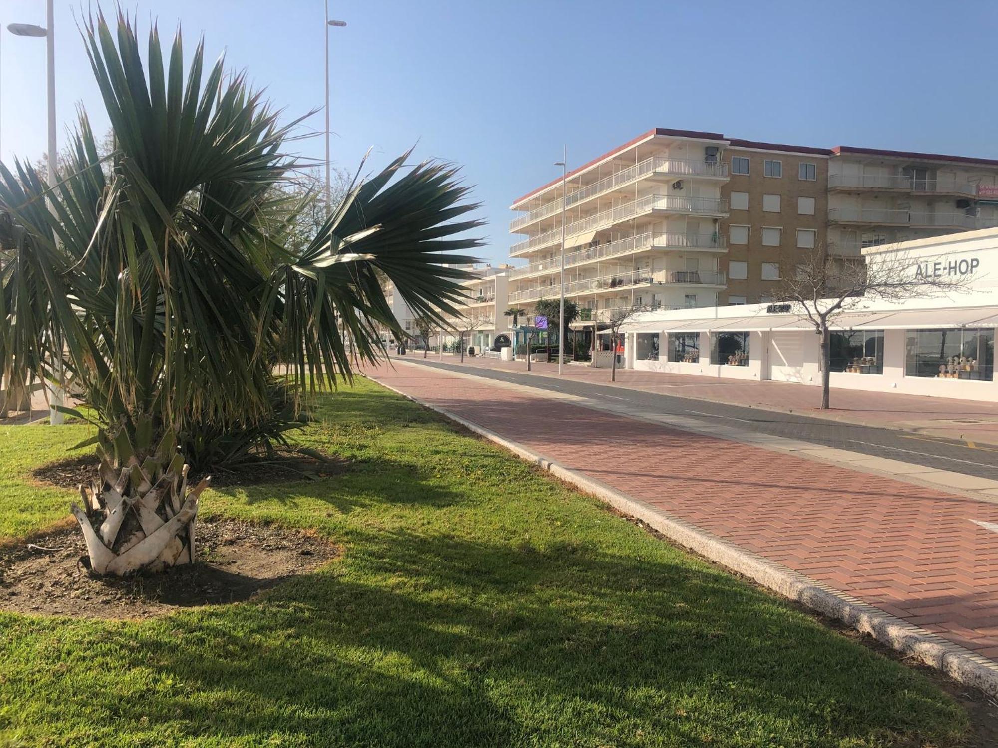 Apartament Playa De Gandia 1Ere Ligne El Galeon Zewnętrze zdjęcie